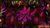 Image00009