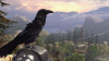 Image00005