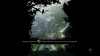 Images00001