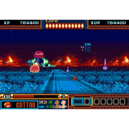 Image00005