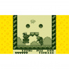image 00008