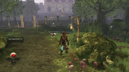 Image00011