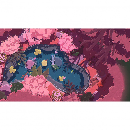 image 00002
