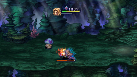 Image00009