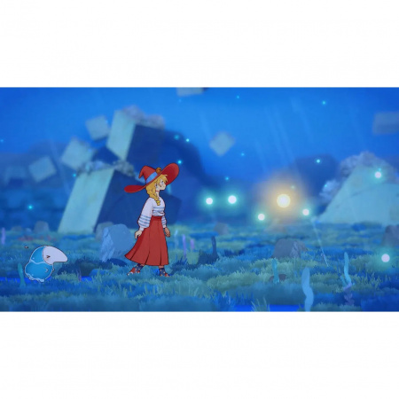 image 00003