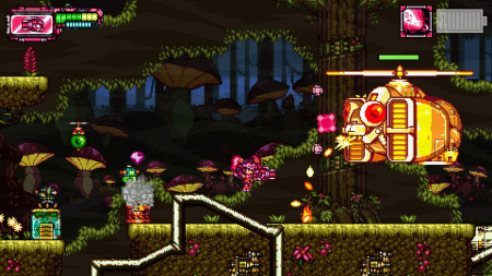 Image00002