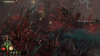 Image00005