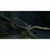Image00006