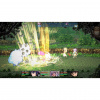 image 00010