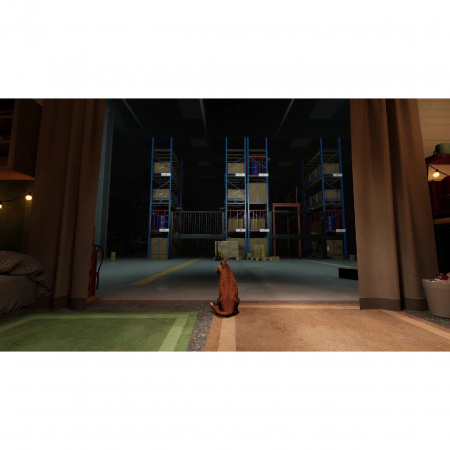 image 00002