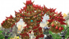 Image00005