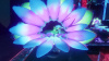 71L3m3UMLVL._AC_SL1500_