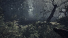 Image00011