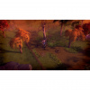 image 00006