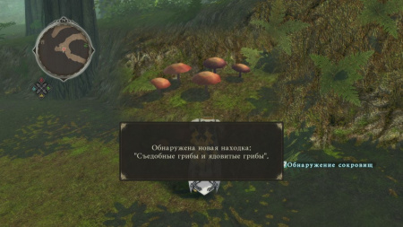 Image00004