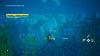 Image00016