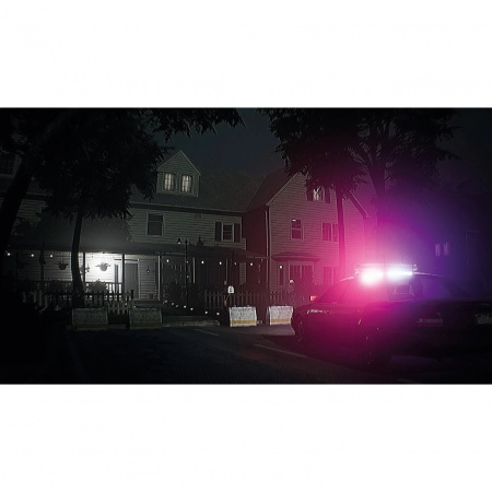 image 00007