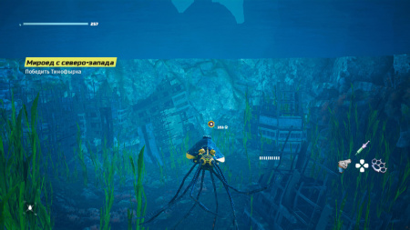 Image00016