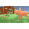 Image00006