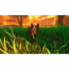image 00008