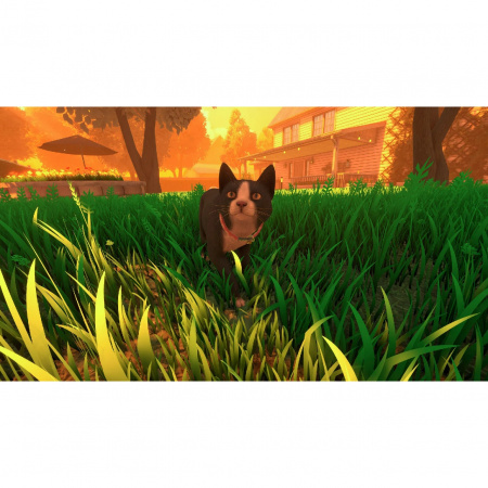image 00008
