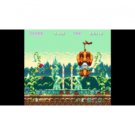 Image00009