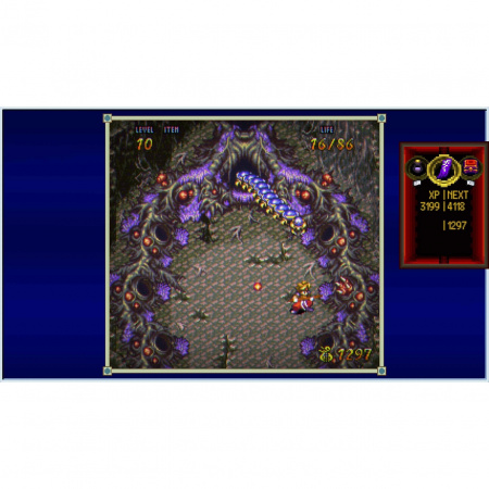image 00007