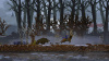 Image00003
