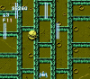 gun_nac_7
