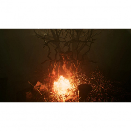 Image00003