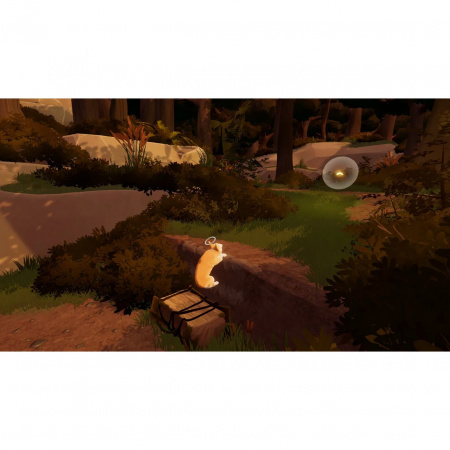 Image00007