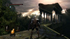 Image00007