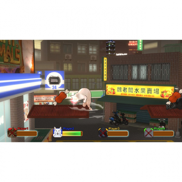 image 00004