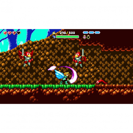 image 00004