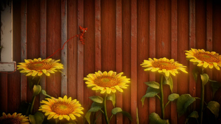 Image00006