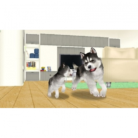 Image00001