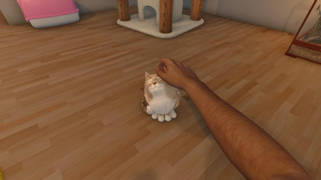 Image00006