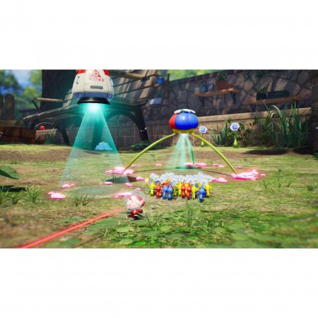 Image00010