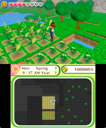 3DS_HarvestMoonSkytreeVillage_enGB_02+