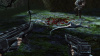 Image00015
