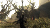 Nswitch_Risen_01