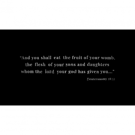 image 00004