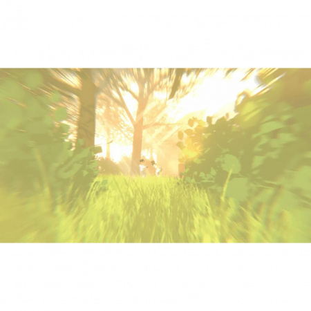 image 00004