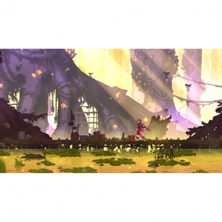 Image00006