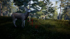 Image00006