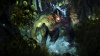 Image00009
