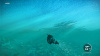 Image00013