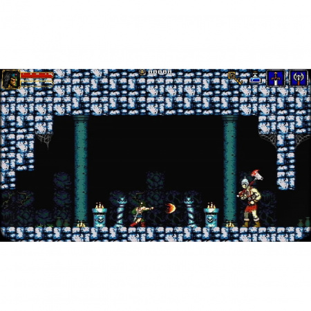 image 00005