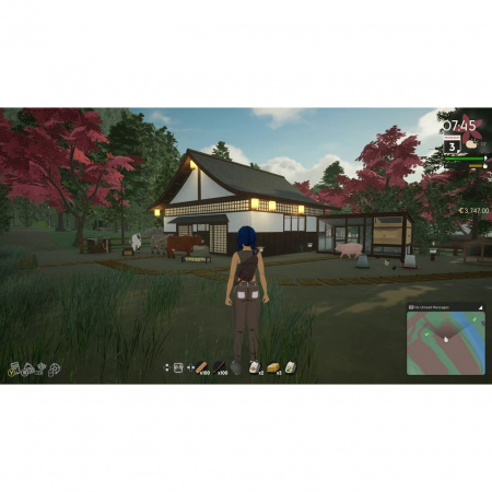 images 00005
