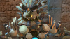 Image00005